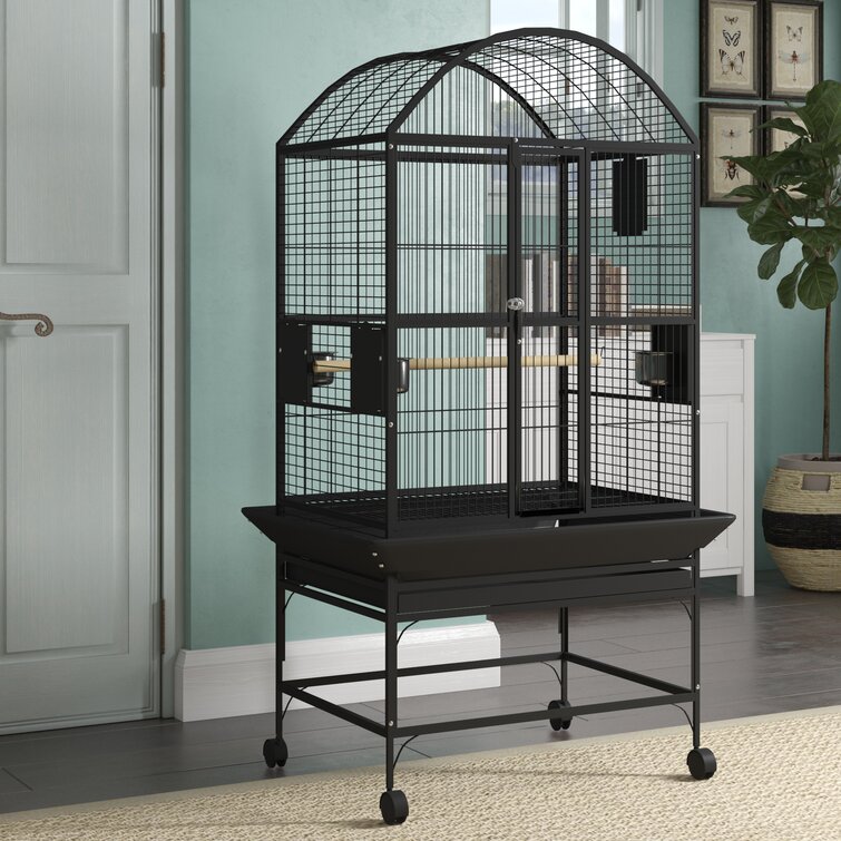 Black bird cages for outlet sale